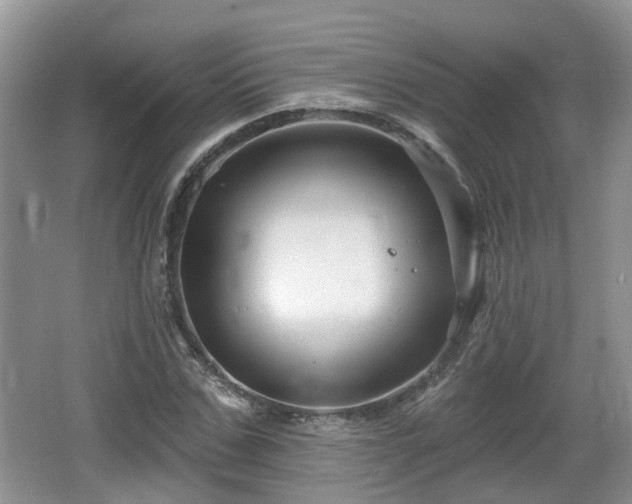 X0000064720971200602131220