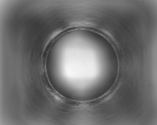 X0000064720974200602131220