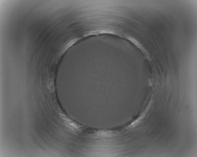 X0000064720977200602131220