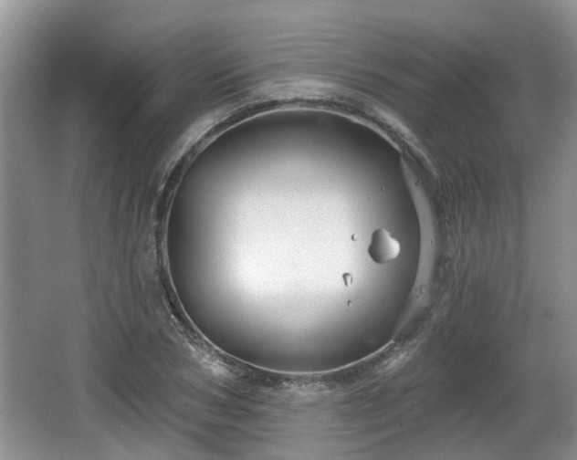 X0000064720978200602131220