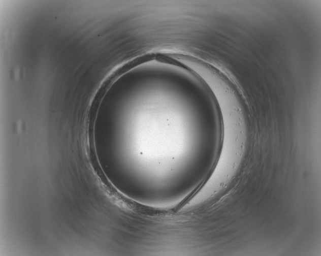 X0000064720984200602131220