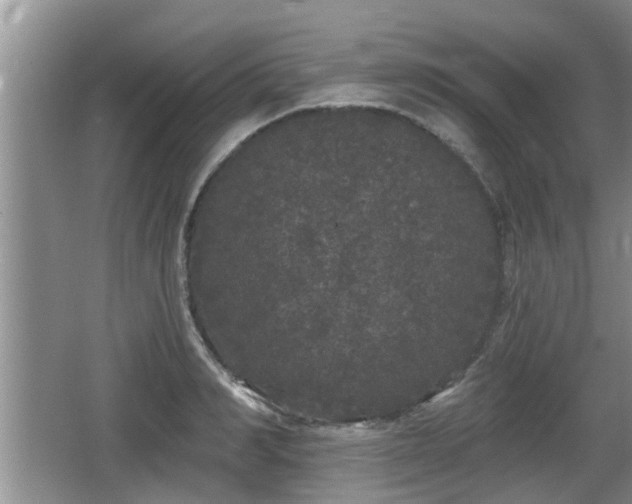 X0000064720990200602131220