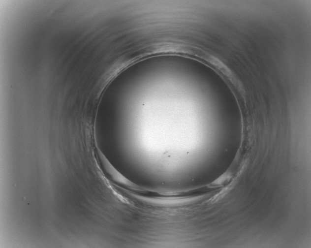 X0000064720993200602131220