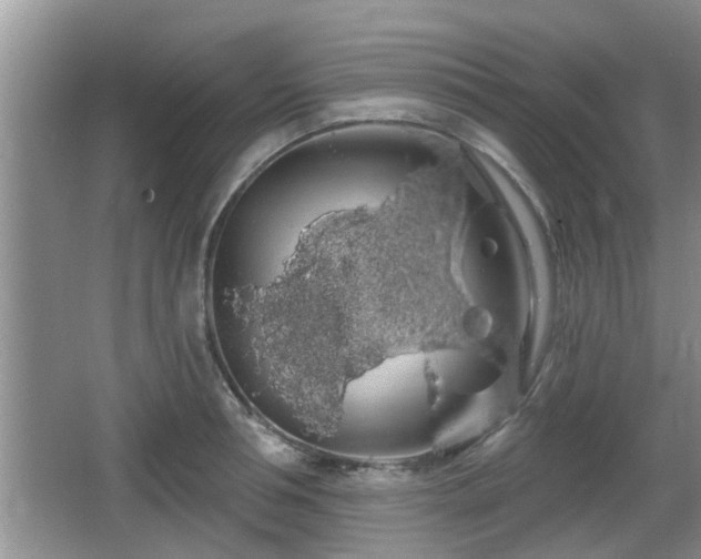 X0000064720994200602131220