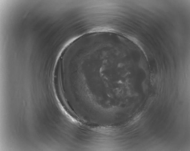 X0000064720995200602131220