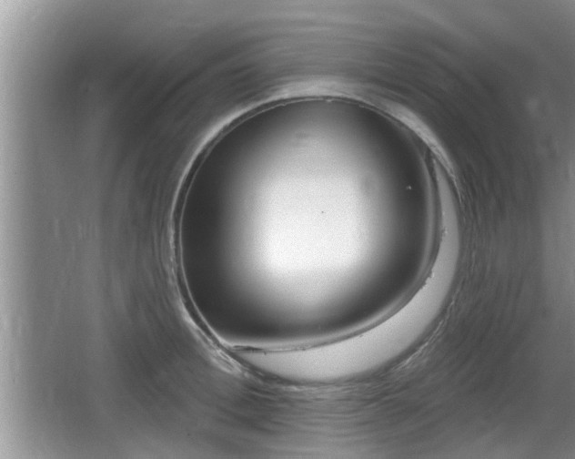 X0000064720996200602131219