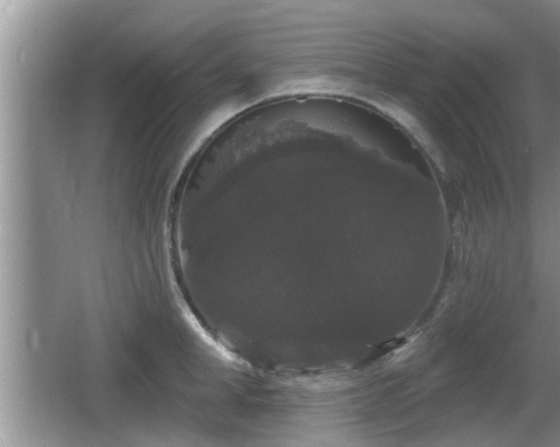 X0000064720998200602131219