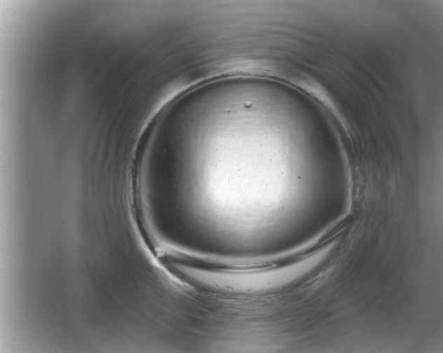 X0000064720999200602131219