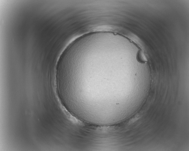 X0000064721000200602131219