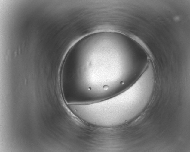 X0000064721004200602131219