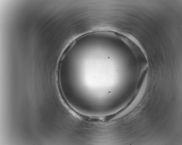 X0000064721005200602131219