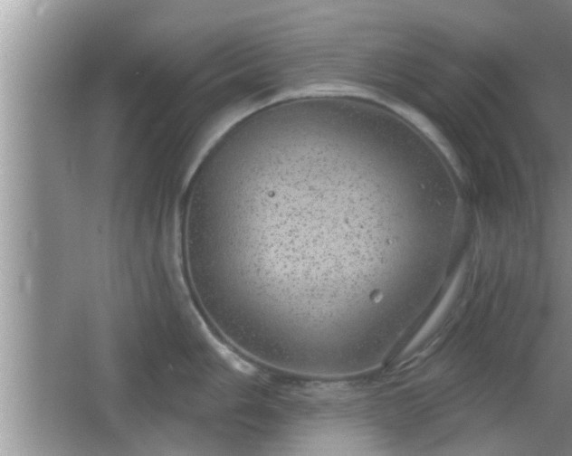 X0000064721006200602131219