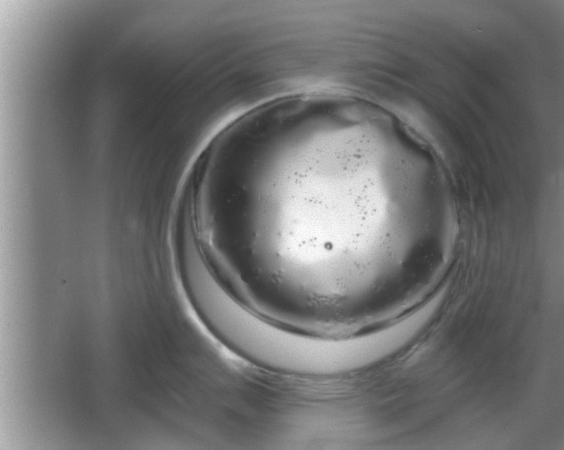 X0000064721007200602131219