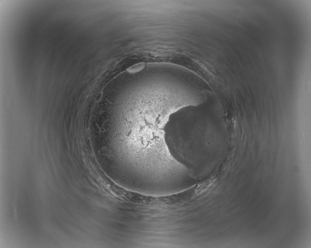 X0000064721009200602131218