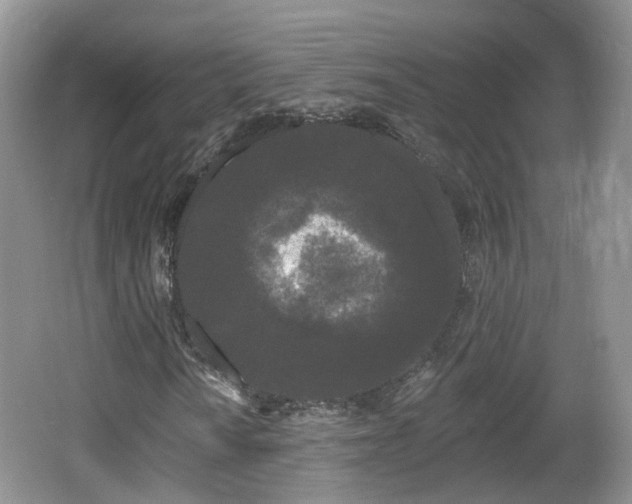 X0000064721010200602131219