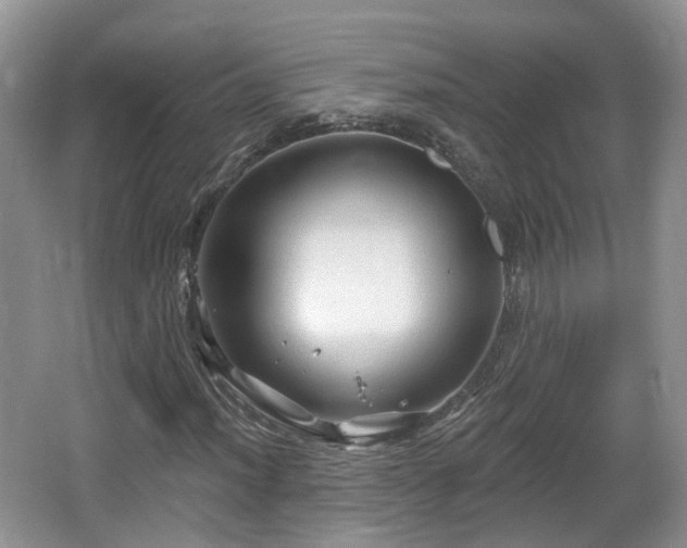 X0000064721012200602131219