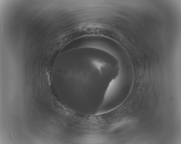 X0000064721013200602131219