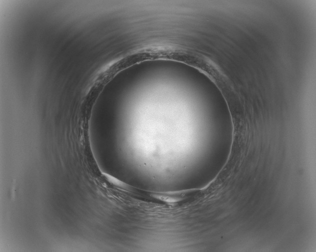 X0000064721016200602131219