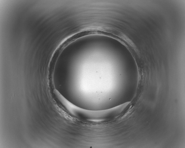 X0000064721020200602131219