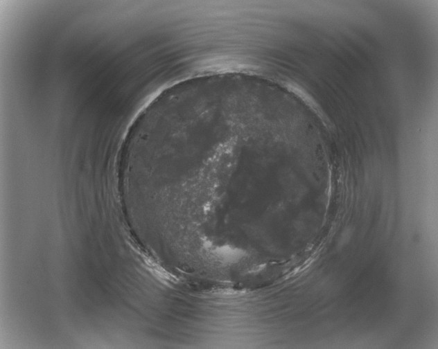 X0000064721023200602131219