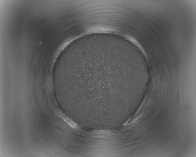 X0000064721027200602131219