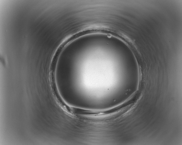 X0000064721029200602131219