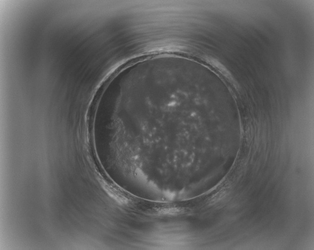 X0000064721031200602131219