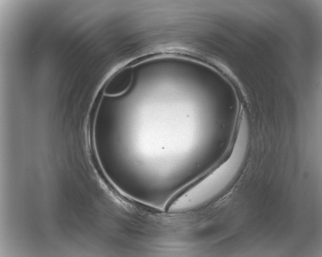 X0000064721032200602131219