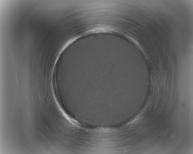 X0000064721034200602131219