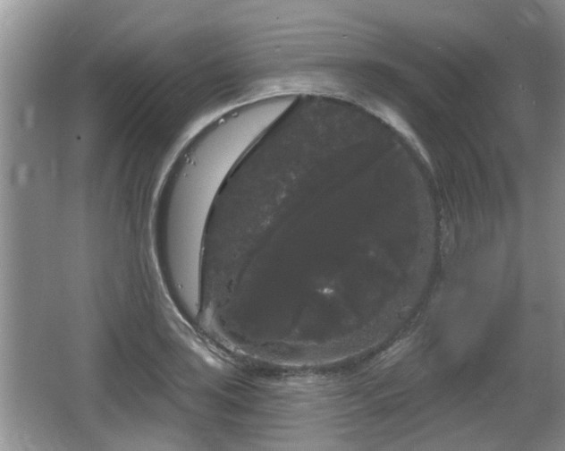 X0000064721035200602131219