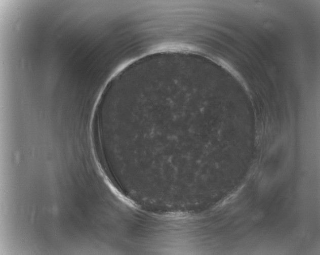 X0000064721037200602131219