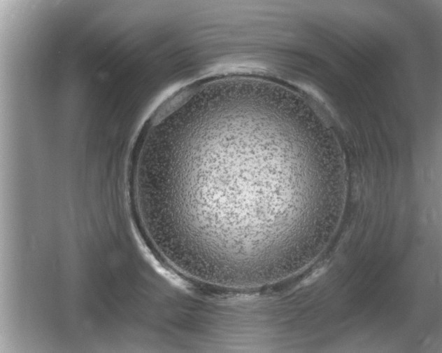 X0000064721038200602131219