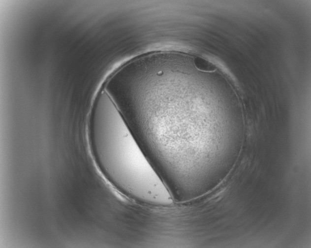 X0000064721040200602131219