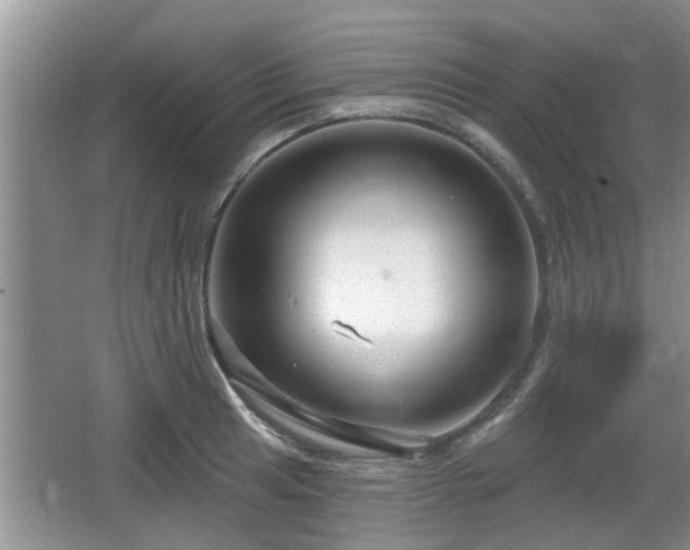 X0000064721041200602131219