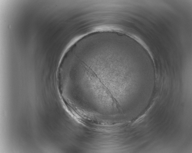 X0000064721045200602131219