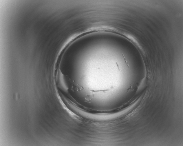 X0000064721046200602131219