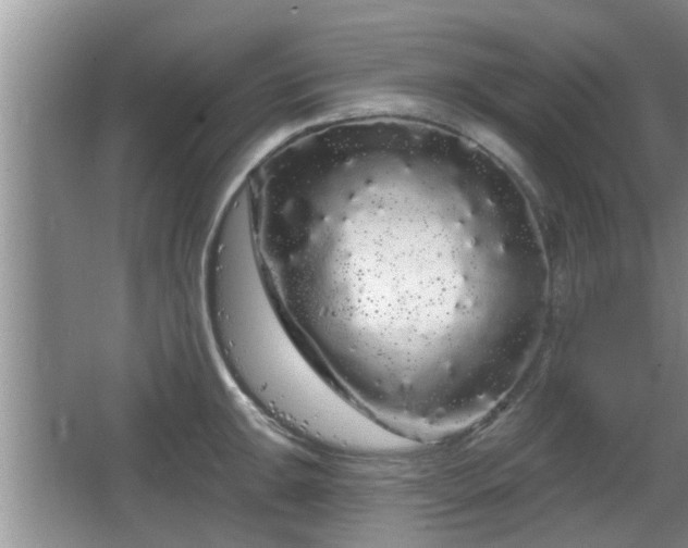 X0000064721047200602131219