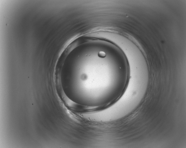 X0000064721050200602131219