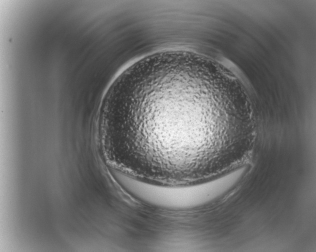 X0000064721052200602131219