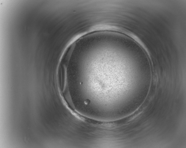 X0000064721053200602131219