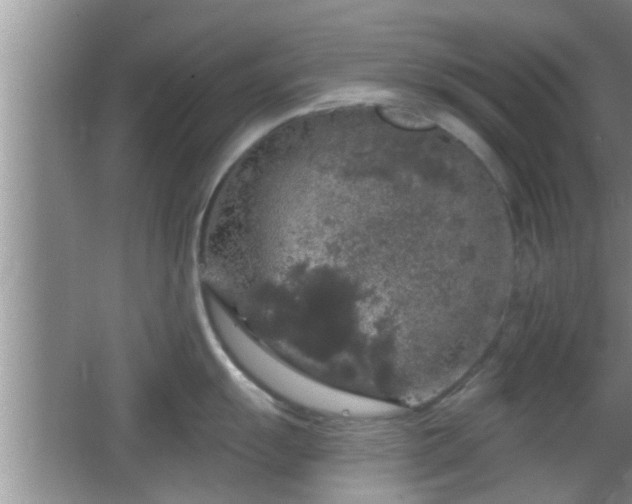 X0000064721055200602131219