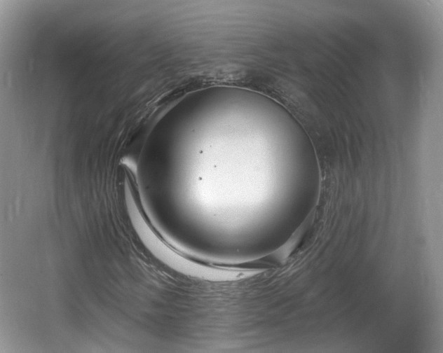 X0000064721058200602131218