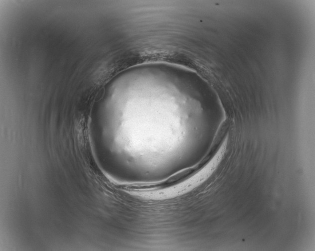 X0000064721059200602131218