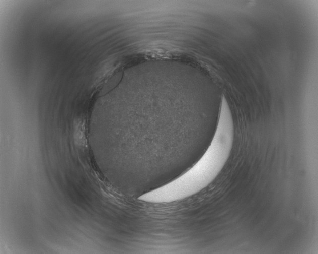 X0000064721060200602131218