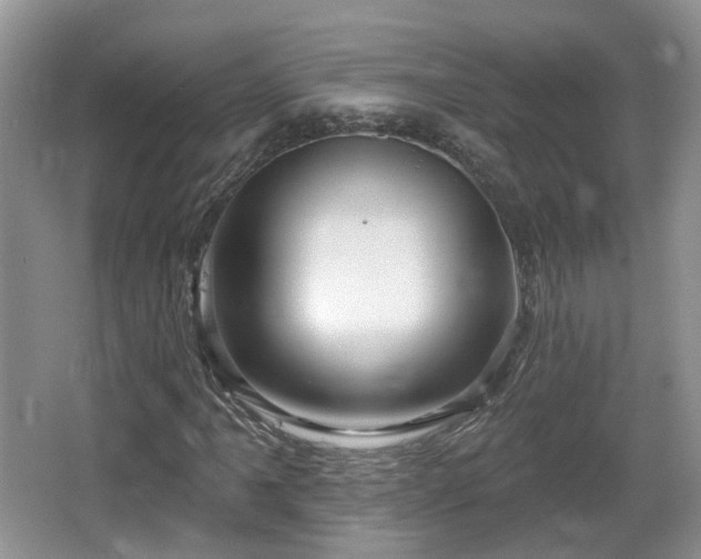 X0000064721061200602131218