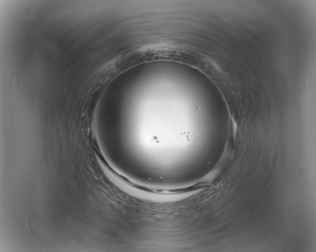 X0000064721062200602131218