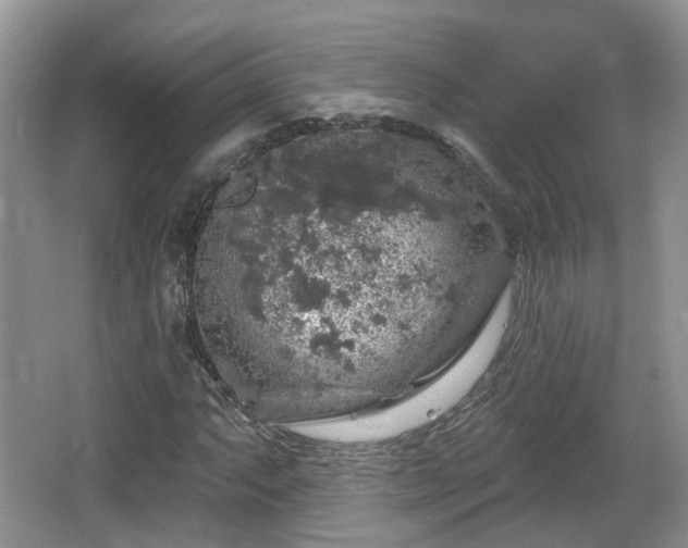 X0000064721063200602131218