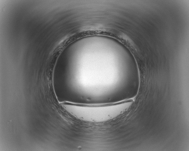 X0000064721064200602131218