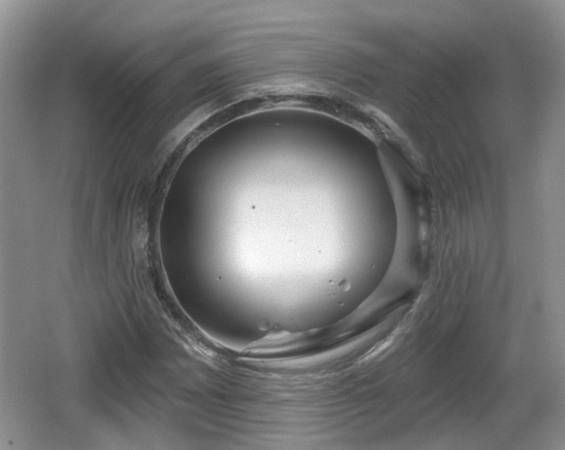 X0000064721065200602131218