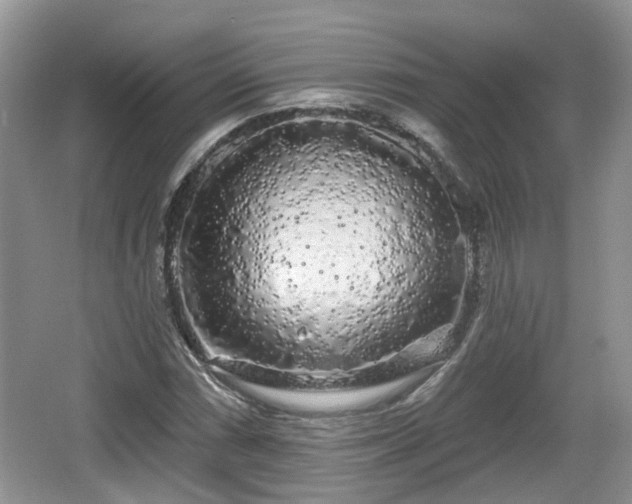 X0000064721066200602131218